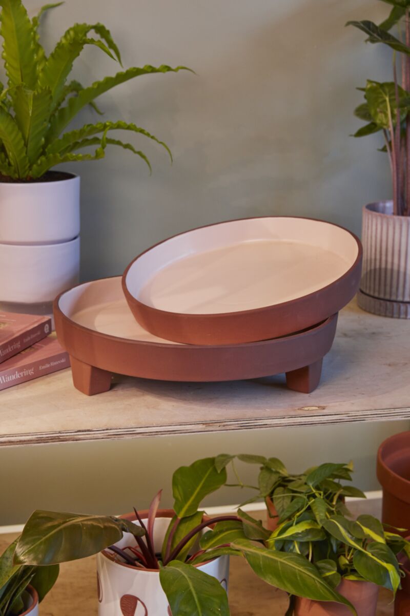 Avila Tray