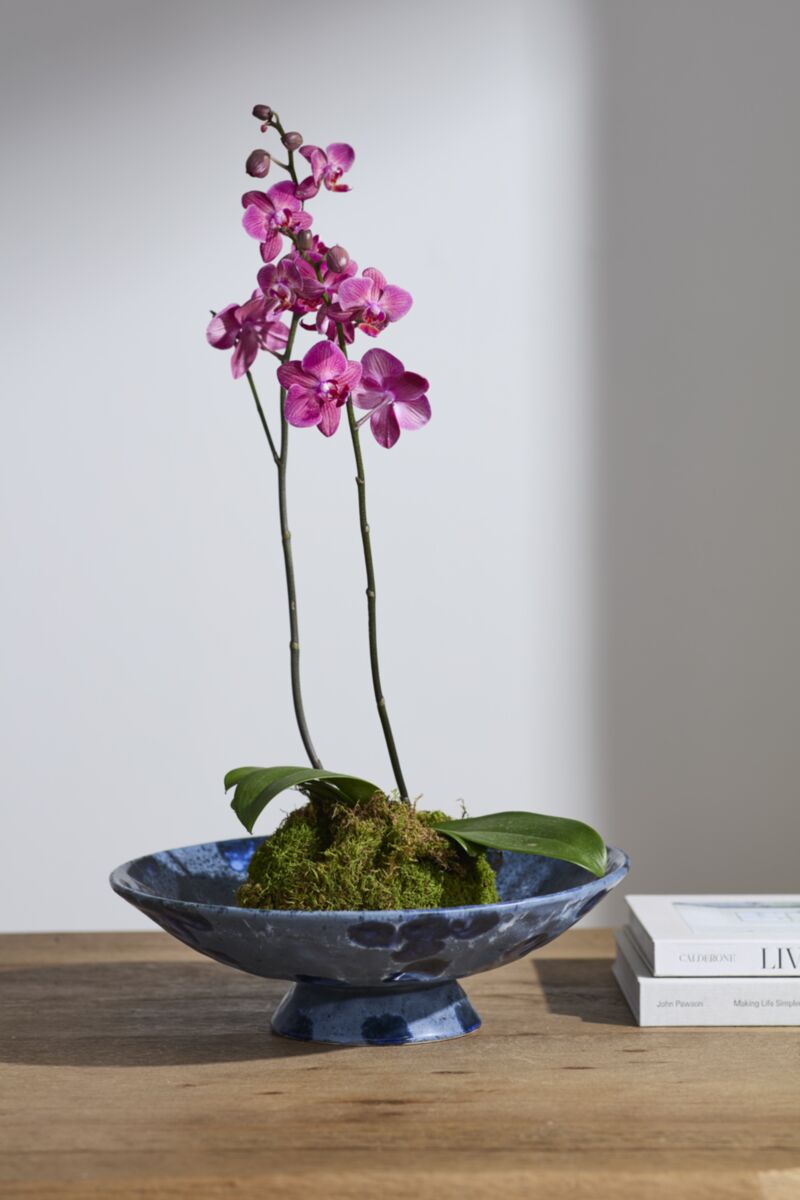 Azul Bowl