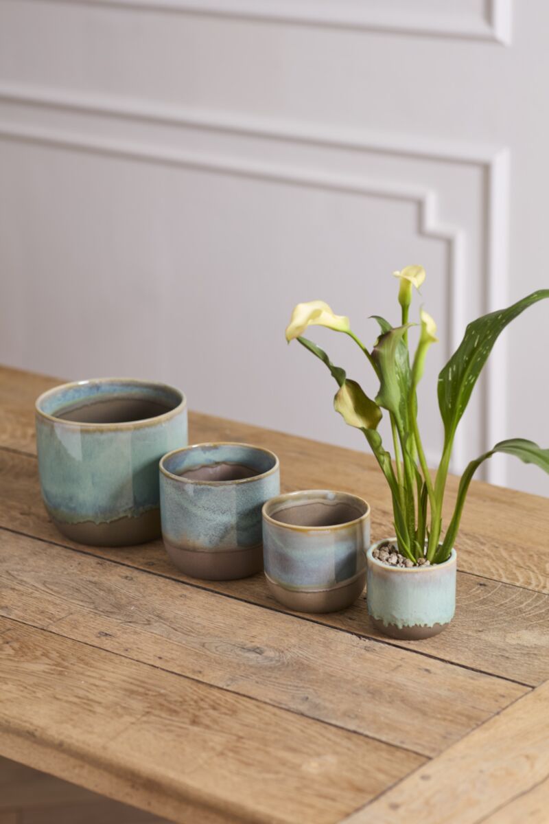 Caribe Pot