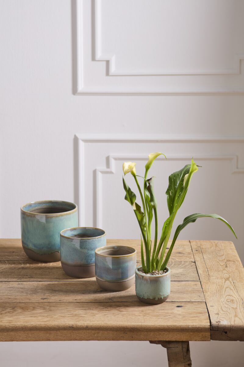 Caribe Pot