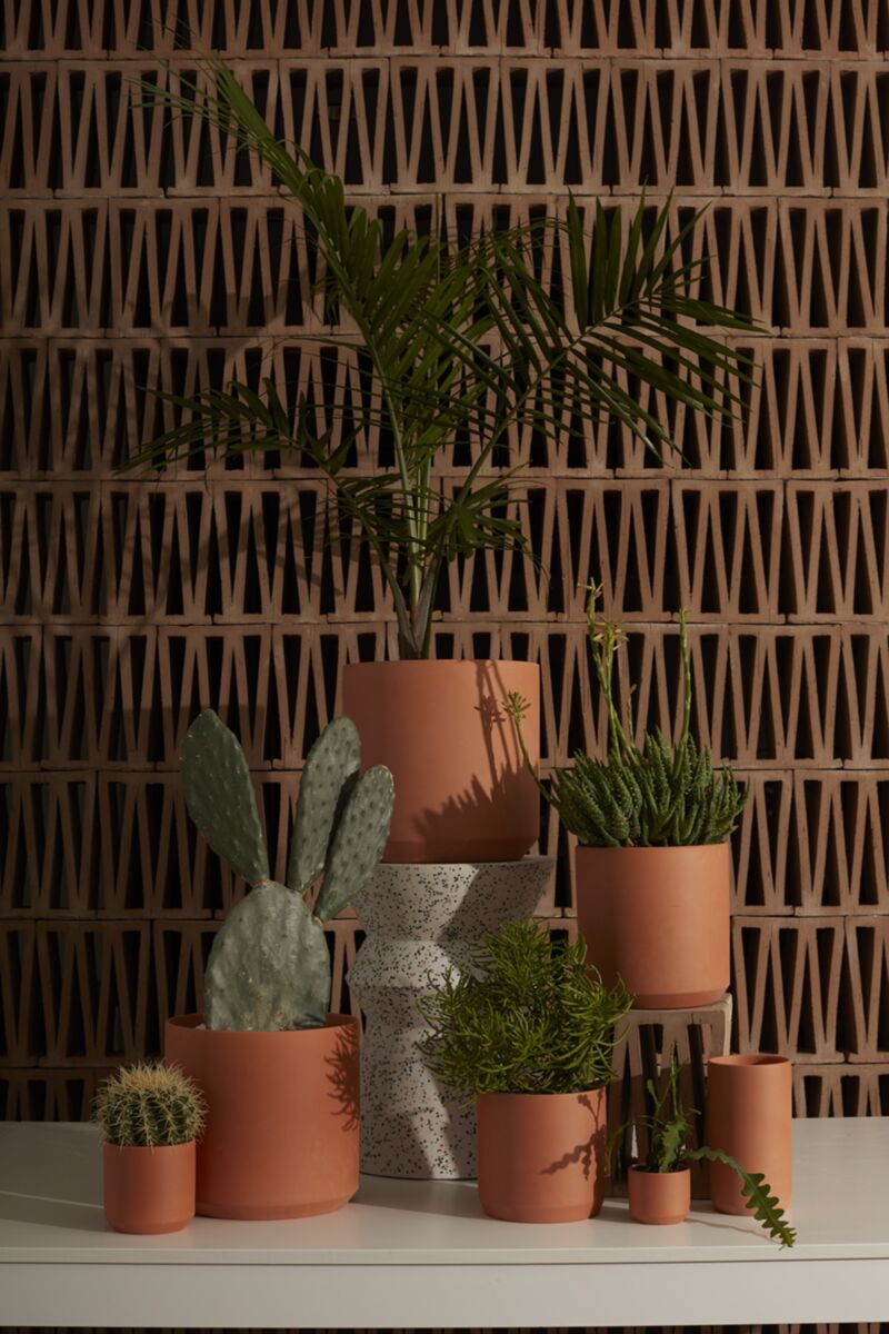 Kendall Terracotta Pot