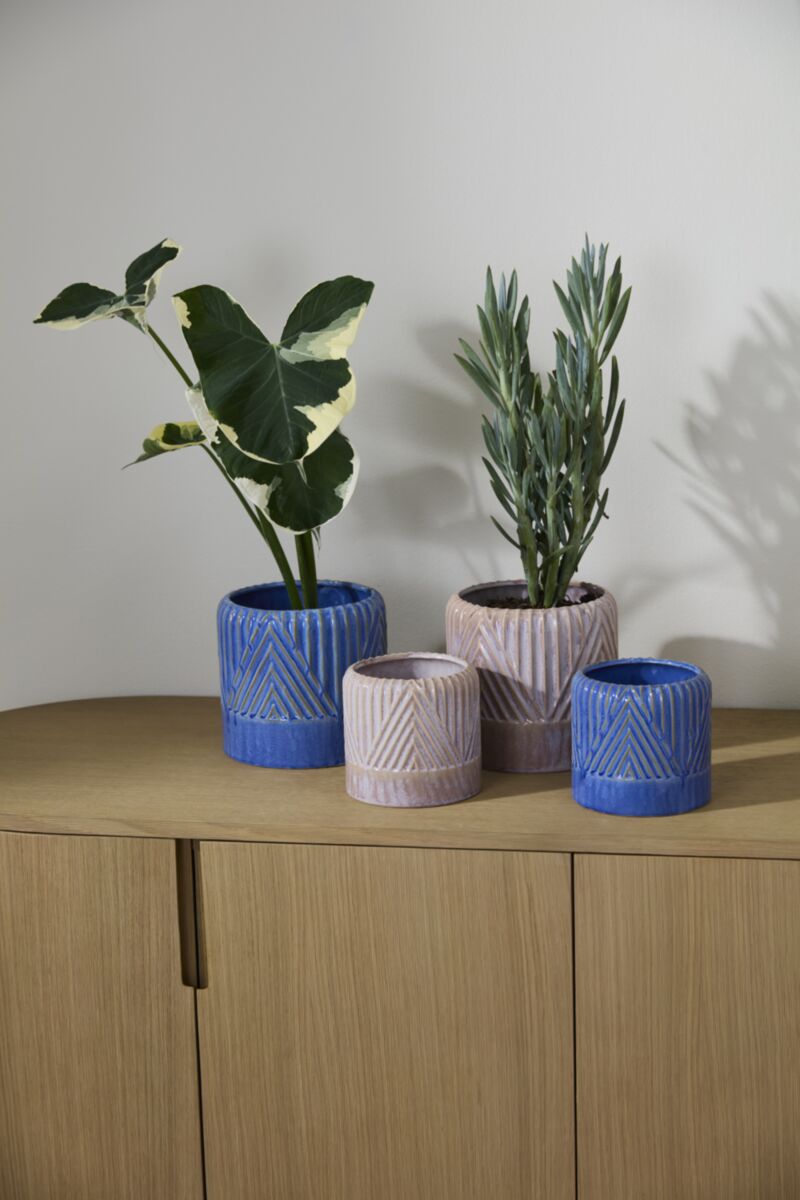 Refresh Pot