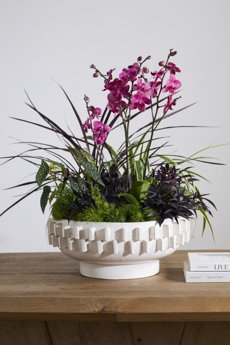 Rhea Bowl