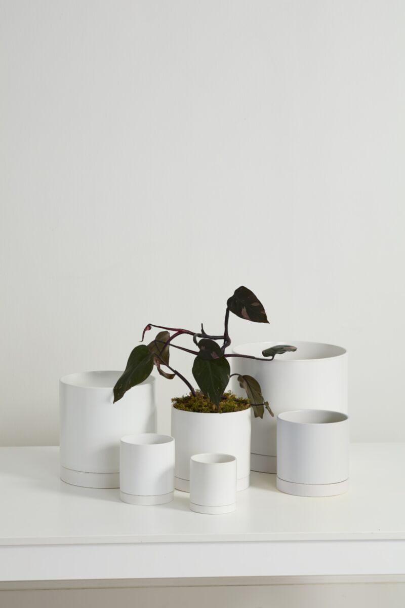 White Romey Pot