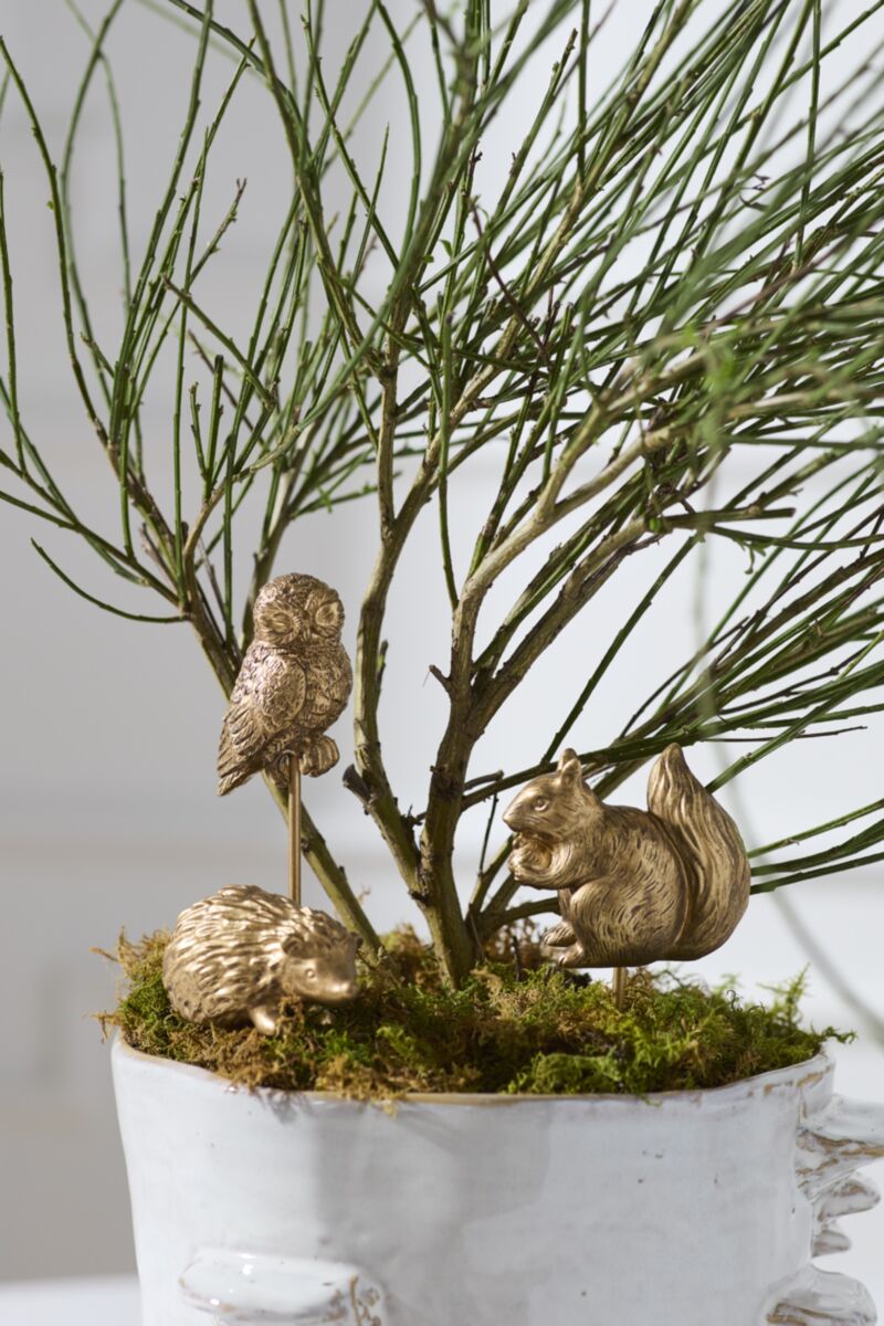Scurry Plant Sticks - Set Of 3