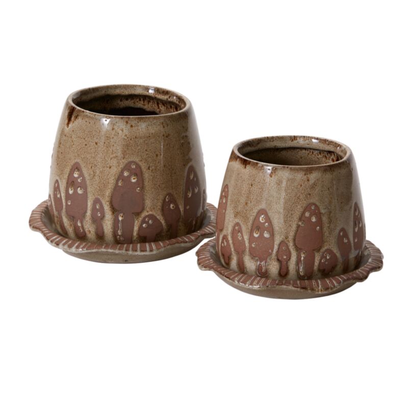 Wild Mushroom Pot With Saucer