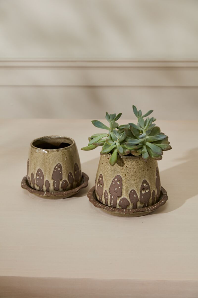 Wild Mushroom Pot With Saucer